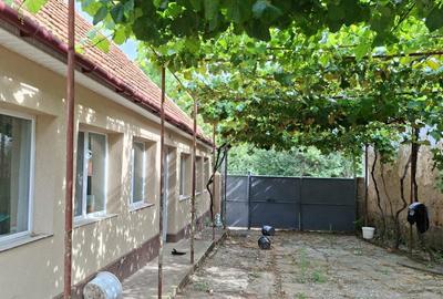 Casă cu 3 camere în Beba Veche - 6