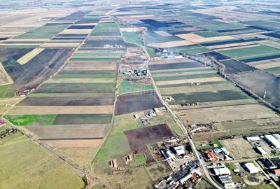 Teren Industrial cu P.U.Z. - 11