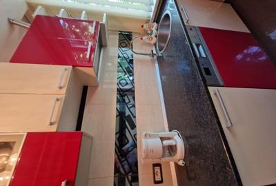 Apartament deosebit vecin Prefectura, Medicina si Parcul Copiilor - 17