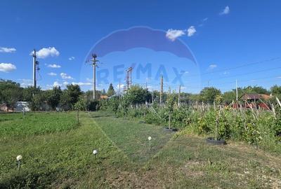 Casă cu 6 camere cu Teren 2655 Mp în Toporu - 4