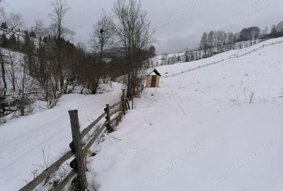 Teren 12.066 mp intravilan de vanzare in Bucovina Comuna Breaza Zona Breaza De sus - 3