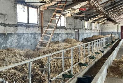 Spațiu comercial, de 356 mp, în Hărău - 5