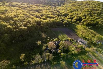 Teren de 2859 mp, în Visterna - 9