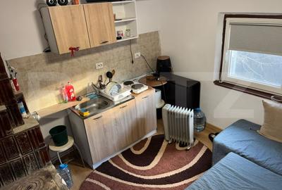 Casa renovata Varvoru de Sus, 30 mpu, 1000 mp curte. - 13