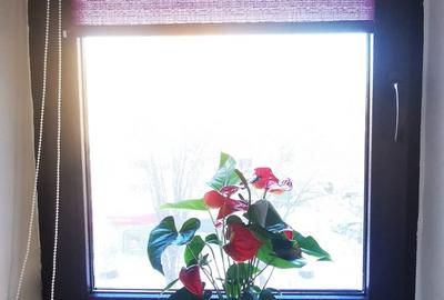 ► Intersectie Capitol GArsoniera 31m² Mobilata Utilata Centrala pe Gaze - 9