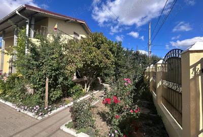 Casa de Vanzare Amara (Ialomita) - 2