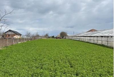 Teren agricol intravilan de 6100 mp, în Corod - 4