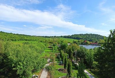 Casa ( P+E ) Zona Mitocasi-Mitocul Dragomirnei - 7