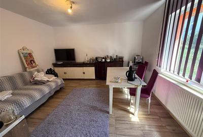 Casa individuala cu 2 camere si 495 mp teren in Sura Mare - 4