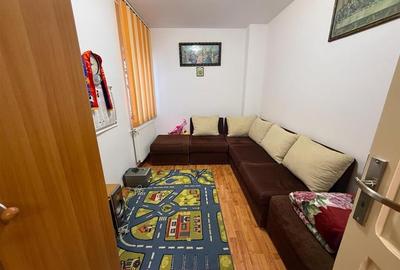 Casa individuala 5 camere 2 bai zona Terezian - 13