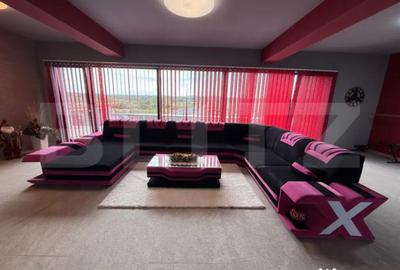 Casă cu 5 camere cu Teren 3500 Mp în Viile Satu Mare - 5