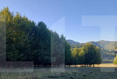 Teren extravila in inima naturii - 5