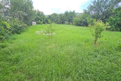 Vanzare teren intravilan, 1500 mp, Tarlungeni central. Vanzare teren intravilan, 1500 mp, Tarlungeni central. - 4