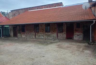 Casa de vanzare in Lugoj - 9