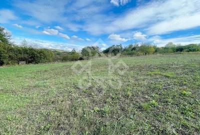 Teren intravilan 5995 mp de vanzare in Hidiselu de Sus - 2