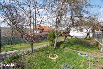 Casă cu 3 camere cu Teren 1000 Mp în Mihăești - 2