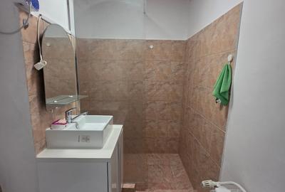 Sos Colentina intersectie Fundeni, bloc reabilitat, stradal, vedere spate, - 6