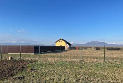Vanzare terem pentru case Halchiu - 3