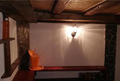 Casă cu 5 camere cu Teren 4500 Mp în Lerești - 10