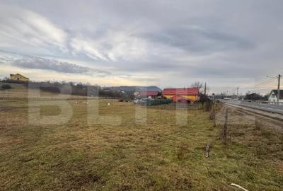 Teren de 2800 mp, în Central - 5