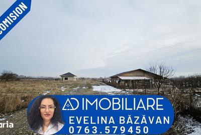 Teren de 1275 mp, în Turcinești - 6
