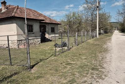 Spațiu comercial, în Polovragi - 6