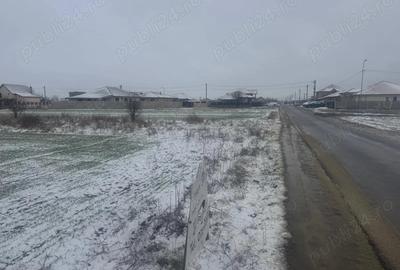 Teren de 5000 mp, în Șag - 4