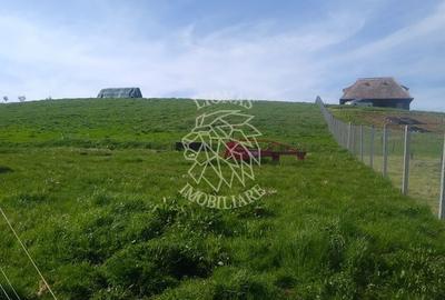 Teren agricol extravilan de 2500 mp, în Monariu - 5