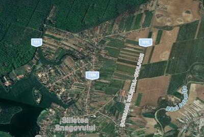 Teren de 7265 mp, în Siliștea Snagovului - 1