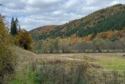 Teren de 5600 mp, în Vărșag - 4