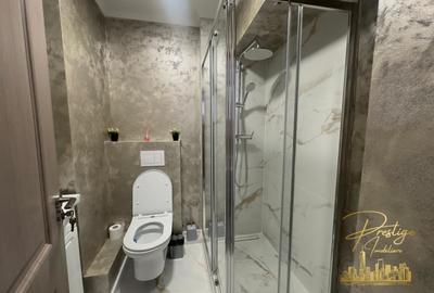 Apartament lux cu 2 dormitoare de inchiriat in zona Nufarul - Oradea - 13