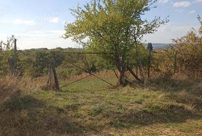 Teren de 2000 mp, în Câlnic - 4