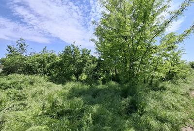 Teren Construcții intravilan de 2720 mp, în Buturugeni - 11