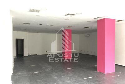 Spatiu Comercial 130mp Zona Circumvalatiunii - 3