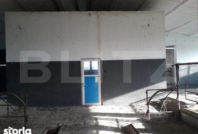 Teren de 950000 mp, în Iosefin - 5