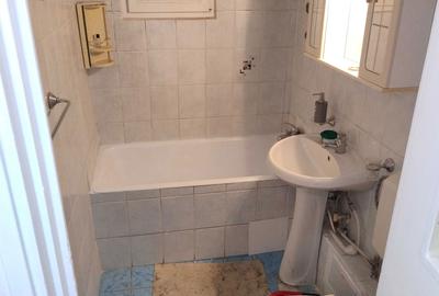 Apartament cu 2 camere decomandat în Giurgiului - 6