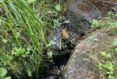 Teren de 20000 mp, în Săcuieu - 2