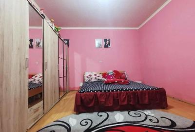 Casă cu 2 camere cu Teren 5 Mp în Tileagd - 3