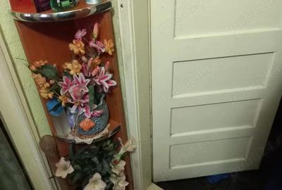 Vand apartament cu o camera , parter cu terasa, zona Crihala - 11