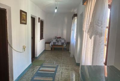 Casa 133 mp utili, 3300 mp teren, Ciutura - 10