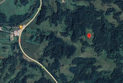 Spațiu comercial, în Cănicea - 2