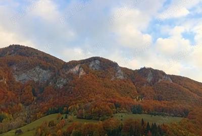 Casă cu 3 camere cu Teren 400 Mp în Incești (Avram Iancu) - 6