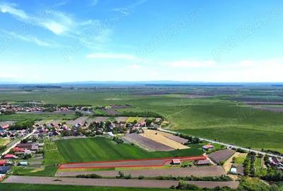 Teren intravilan 2.500 mp in Boghis | Ideal pentru casa sau pensiune | langa balta de pescuit - 5