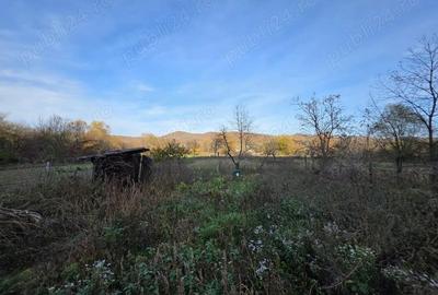 Casa de vanzare in loc Tisa, jud. Hunedoara doar 37 de min de Deva. - 10