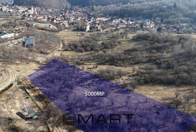 Teren intravilan 5000mp cu PUZ aprobat, CU si utilitati in Cisnadioara