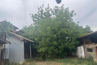 Casa recent renovata, 2023 mp teren, comuna Leu , RATE !!! - 11