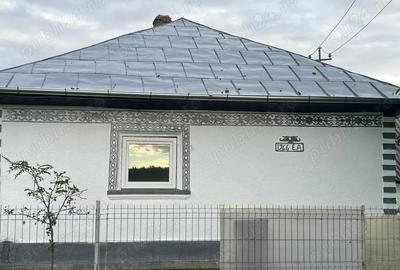 Casă cu 2 camere în Peceneaga - 1