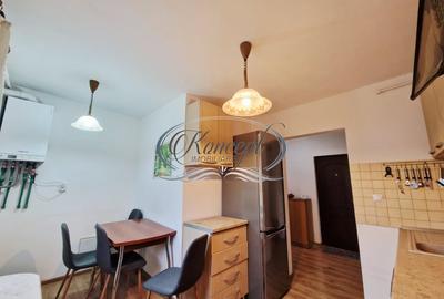 Apartament spatios, bine izolat, aproape de centru, in zona Plopilor - 4