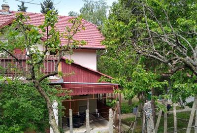 Casă cu 4 camere în Covăsinț - 4