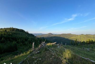 Teren de 500000 mp, în Ciocănești - 14